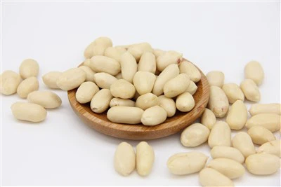 卸売ブランチングピーナッツカーネル25/29