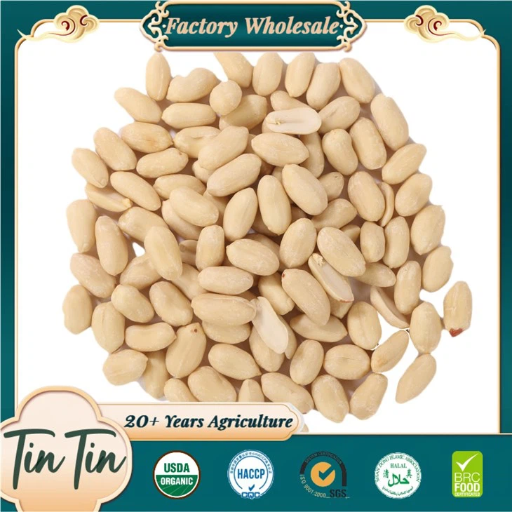 高品質のブランチドピーナッツ2024作物