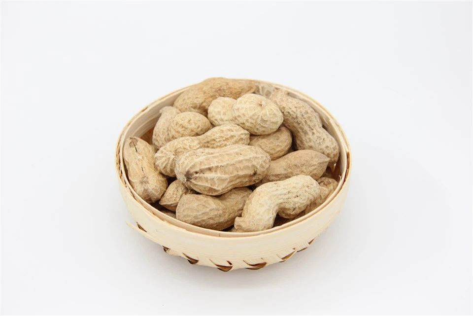 殻付きローストピーナッツ