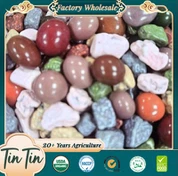 売れ筋の高品質中国産ストーンチョコレート