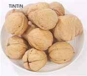 売れ筋、高品質、健康的な中国産殻付きクルミ