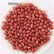 卸売りレッドスキンピーナッツ